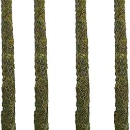 Dr. Arya's Moss Stick | Green Grass Pole for Plants Support | Moss Stick | Moss Stick for Money Plant | (Set of 4) - 4 FT Each-image-45
