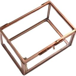 Zaidinox Modern Glass Metal Cuboid Geometric Terrarium Succulent Plants Container-image-50