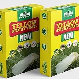 Chipku ® -Yellow Sticky Glue Trap for Insect in Garden & Farm, Trapper for White Flies, Thrips, Small Insects on Plant (200 * 300 mm, Pack of 2 * 12 = 24 Traps)-image-68
