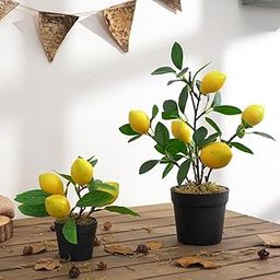 MERISHOPP Artificial Plants Bonsai Fruit Tree Potted for Wedding Decor Lemon S| Artificial Flower Bouquet | Floral Décor for Home-image-48