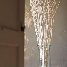 Vanchai 30" Long Real White Curly Willow Stems - Pack of 10 STEM Dried Sticks for Decor-image-57