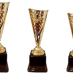 Trophy Set of 3-picture-24