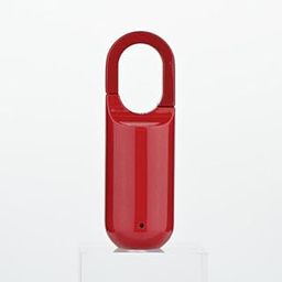 FONICX FIT Zinc Secure Fingerprint Padlock, Mini Lock With Long Standby Time, USB Charge Keyless for Gym School Locker, House Door, Travel Luggage, Backpack (Pack of 1, Red)-35