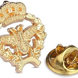 Golden Charismatic Bee-Crown Stud pin Brooch.-picture-31