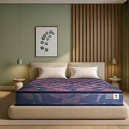 Sleepwell Champ Classic Ortho Mattress | Soft Plush Top | Firm Feel Mattress | Back Support | Anti-Bacterial Technology | Triple Layer Quiltec Foam | Queen Size | 78X60X4 | 10 Years Warranty-30