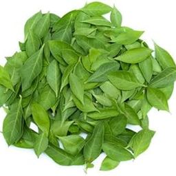 Fresh Henna Mehandi Leaves, 150 gm, Whole Natural Pure Organic Henna Leaves-image-8