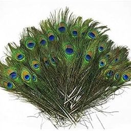 Mor Pankh 50 Pcs/Morpankh/Natural Peacock Feathers/Natural Beautiful Peacock Eye Feathers Tails (Set of 50 Pieces)-image-43