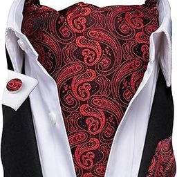 Cravat Ties for Men with Pocket Square and Cufflinks Ascot and Handkerchief Set-image-53
