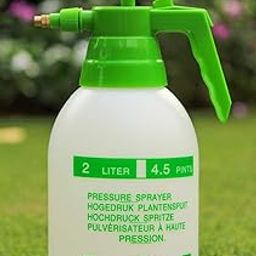 Siddhi Garden Pump Pressure Sprayer|Lawn Sprinkler|Water Mister|Spray Bottle for Herbicides, Pesticides, Fertilizers, Plants Flowers 2 Liter Capacity - (Green)-image-28