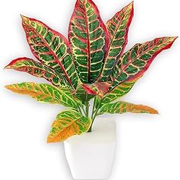 The Dekkorit Artificial Green Decor Plants for Indoor Usage of Desk, Home, Offices, Living Rooms, Bedroom, Kids Room, Study Table, Centre Table of Size - 11 Inches (Pack of 1- with Pot)-image-17