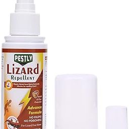 Pestly Herbal Lizard Repellent Spray for Home | Permanent Solution to Keep Lizards Away | Chemical Free | Powerful Protection & Lizard Trap | Lizard Out | Easy Application | Family & Pet Safe (100 ml)-picture-23