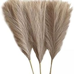 ATORSE 7x3x Dried Pampas Grass Bohemia Reed Flowers for Vase Living Room Brown-image-67