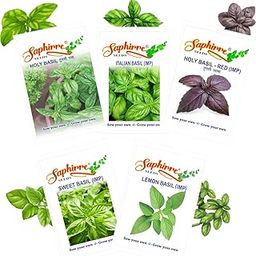 Tulsi Seeds Variety Pack| Tulsi Seeds for Home Gardening| Holy Basil Green, Holy Basil Red, Italian Basil, Sweet Basil, Lemon Basil| 500+ Seeds (Best Gift for Gardeners)-image-90