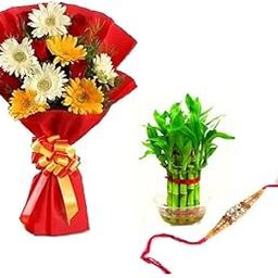 Floral Fantasy® Original Real Fresh Flower Bouquet For Rakhi Gift (Bunch Of 12 Mix Flowers in Paper Packing with one Rakhi and 2 layer Lucky Bamboo Plant)-image-12