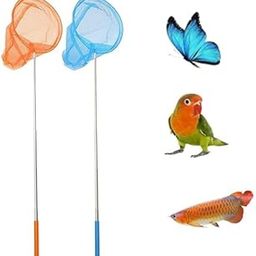Stainless Steel Telescopic Fishing Net for Birds/Fish & Catching Bugs, Butterfly Mesh Net with Anti Slip Grip (3 feet) Pack of 2-image-25