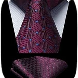 Plaid Tie Handkerchief Woven Classic Mens Necktie & Pocket Square Set (Burgundy & Blue)-picture-42