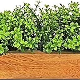 fancymart Artificial Gardenia Plant Bunch in Wood Planter, Home and Office Decor Plants for Decoration, Realistic Green Decorative for Interior, Living Room, Office Desk-17