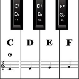 Piano Keyboard Stickers for 88/61/ 54/49 Key, Black Transparent Removable for kids Beginners (Black)-10