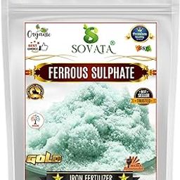 Sovata Ferrous Sulphate, Powerful Essentail Organic Fertilizer For Overall Healthy And Fast Growth Of All Plants. (200 Gm), Powder Form-13