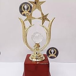 Trophy Golden Fiber 3 Stars Diamond Cup-image-31