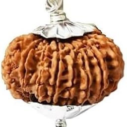 19 Mukhi Rudraksha Original Certified Unnis Mukhi Rudraksha Prayer Bead 19 मुखी नेपाल रुद्राक्ष Oval Nine Face|Mukhi Nepal Rudraksha For Pendant-33