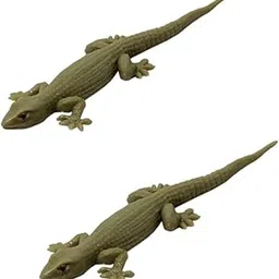 TOYSFAST® (2 Pcs) Original Look Real Looking Rubber Lizard Toy | Brown Lizard |Chipkali Toy | Prank Chipkali Toys (A309)-picture-18