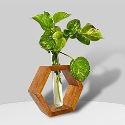 LEAFY INDOOR Hexagonal Wooden Test Tube Vase – Unique Rustic Planter for Flowers, Plants, and Hydroponics – Minimalist Home and Office Decor, Perfect for Gifts or Centerpieces-image-10
