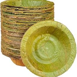 Healthy Edible's | Disposable | Siali Leaf Dessert Bowl (with Corrugated Sheets) | Small | 4.5 inch | Set of 50 | (Green)-image-25
