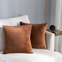 AAZEEM Decorative 12 x 12 Inch Throw Pillow Covers Set of 3 | Super Soft Velvet Pillows|Fall Pillowcase for Living Room Bedroom Sofa Couch Cushion Cover | Velvet-16