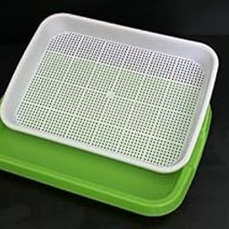 (Combo) Grewery Farm Microgreen Trays Made of Virgin PP Material (On The Grow Farm Videos) with Perforated Top White Tray and Solid Green Color Bottom Tray (5)-17