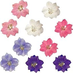 SOWUNO 60PCS Real Dried Flower Natural Creative DIY Phone Case Accessory Phone Case Supplies Phone Case Accessories-image-41