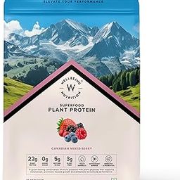 Wellbeing Nutrition Organic Vegan Plant Protein Isolate| 22g Protein, 5g BCAA, 3B CFU Probiotics, Digest Enzymes, 3g Fiber, 5 Alkalizing Greens| NO Bloating, Easy to Digest| Canadian Mixed Berry 500gm-23