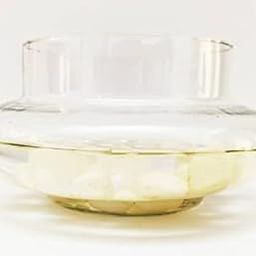Rishabh Home Decoration Transparent Bubble Bowl | Rose Bowl Glass Vase, Decorating Item's | Artificial Flowers Candy Jar Money Plant Bowl Without Flowers/Plants (Clear, Rust Resistant, Pack of 1)-image-12