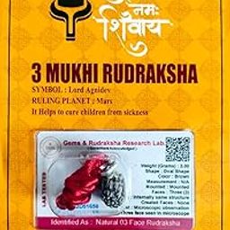 Robinec 3 Mukhi Genuine Rudraksha Three Faced Rudraksh Bead Original & Certified for Men and Women-image-82