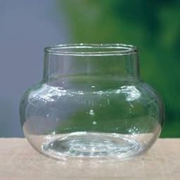 AAMU MOON Mini Glass Flower Vase, Candy Jar, Money Plant, Bamboo Round Plant Vase For Home Decor & Indoor Gardening - Pack Of 1 Piece, 4 Inches,Clear-13