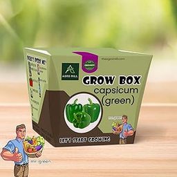 ORGANIC GREEN CAPSICUM VEGETABLE GROW BOX/KIT|INCLUDES LARGE POT,POTTING MIX,SEEDS,SCRAPER TOOL,ROOT-O-SHOOT,PLANT NUTRIFIER,BUG DETERRENCE POWDER,PERFECT FOR HOME KITCHEN GARDEN,DIY & GIFTS-image-38