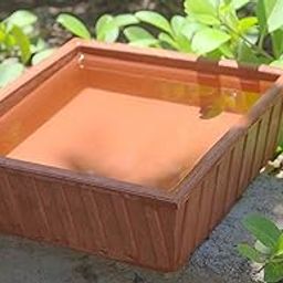 Tansa Art Earthen Pot Terracotta Bird Bath, Earth Brown (9X9-Inch)-image-50