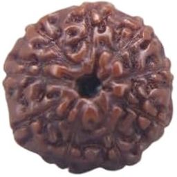 MAA Shakti GEMS Nau Mukhi Rudraksha Nepali Beads Superb Natural 9 Mukhi Rudraksha for Make Pendant Mala नौ मुखी रुद्राक्ष IGL Lab Certified Genuine Nine Face Rudraksha for Women-picture-15