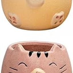 UJEAVETTE 2X Cute Succulents Planters Pots with Drainage Hole for Desktop Yellow+Pink-image-39