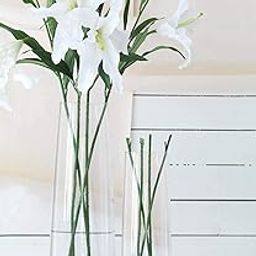 TIED RIBBONS Set of 2 Flower Vase for Living Room (Transparent, 29 cm & 16.5 cm) - Glass Vase Pot for Water Plants Home Decor Dining Table Decoration Bedroom Hall Aesthetic House Warming Gift-12