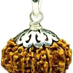 SreeGems 12 Mukhi Rudraksha Original Certified Barah Mukhi Rudraksha with Capping 12 Mukhi Rudraksha Nepali Twelve Mukhi Rudraksha Blessed by Lord Surya 12 Face Rudraksha Original 12 Mukhi Rudraksha Pendant-image-17