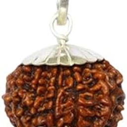 Eighteen Face Rudraksha Locket Genuine Ashtadash Mukhi Rudraksha With Silver Pendant अठारह मुखी रुद्राक्ष 18 Mukhi Rudraksh Original Certified By Lab For Unisex-picture-23