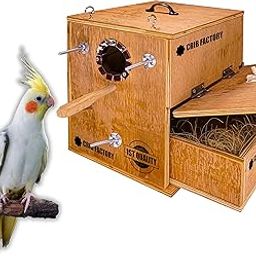 Perfect Breeding Box for Cockatiel Birds | HIGH-QULITY Plywood | 10X10X12 INCH | Designed for Cockatiel (with ONE Tray)-image-45