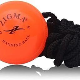 Zigma PVC Cricket Hanging Ball (Light) (Orange), Size: Men, 110 to 115 Grams-image-50
