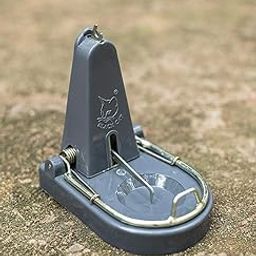 Black Cat Agricom Black Cat Rat Trap,Mouse Catch,Kill(Grey)-image-92