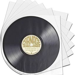POCFOINY 30 Pcs Vinyl Record Inner Sleeves - Clear Vinyl Inner Sleeves for Records-image-38