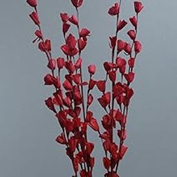 Palaasha Sola Lily Sticks Handcrafted Floral Decor, Natural Plant Bark, Dried Flower Stems (Crimson Red, Pack of 2)-image-93