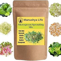 6 VARIETY OF SEEDS FOR SPROUTING MIX | Pak Choi, Broccoli, Alfalfa, Clover, Radish, Fenugreek Seeds | Satvik Lifestyle | 200 Grams-image-44