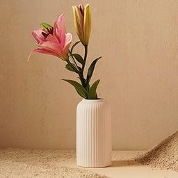 PUREZENTO White Ribbed Texture Ceramic Vase - 6 Inch | Vases for Decor Centerpiece Home Decor, Office, Living Room | Decorative Vases for Pampas Grass, Dried & Artificial Flowers-image-23