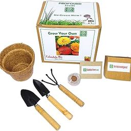 Profound Seed Starter Grow Kit of Calendula Flower Mix || DIY Easy Grow it Yourself Gardening Kit for Home and Garden || A Complete Beginner Gardeners Gardening Set-image-89